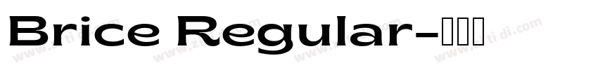 Brice Regular字体转换